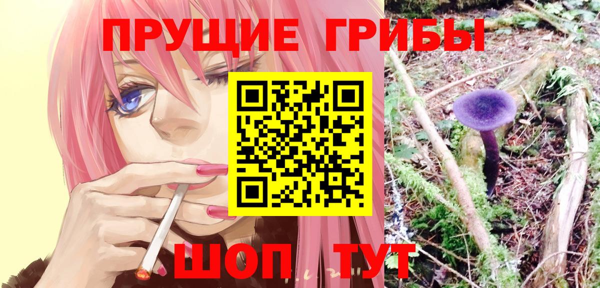 Галлюциногенные грибы Cubensis  Вход с VPN  Аксай 