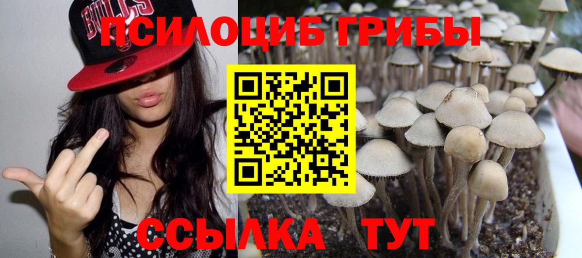 Галлюциногенные грибы прущие грибы Аксай